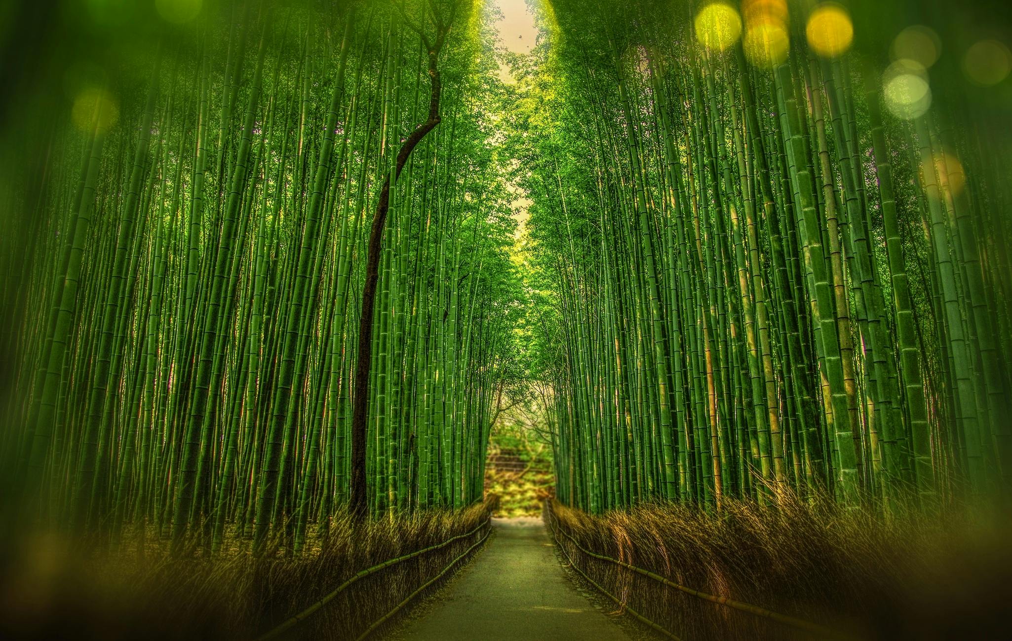 Bamboo Textile Products